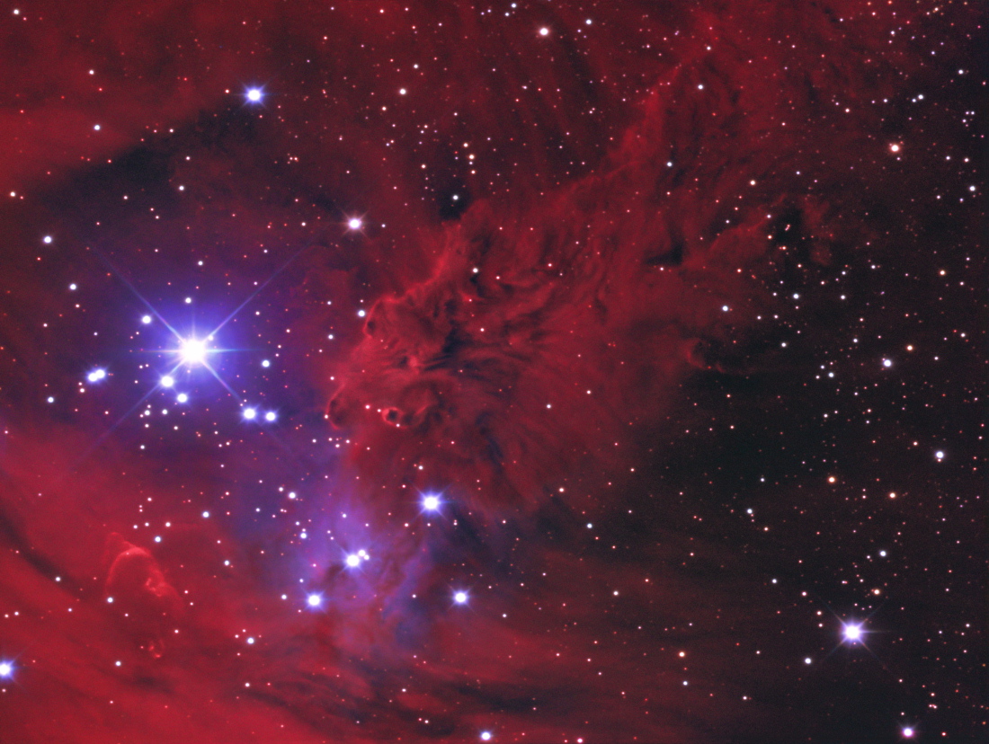 ngc2264 renard